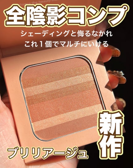 コントゥア デザイニング ブラシ/ブリリアージュ/メイクブラシを使ったクチコミ(1枚目)