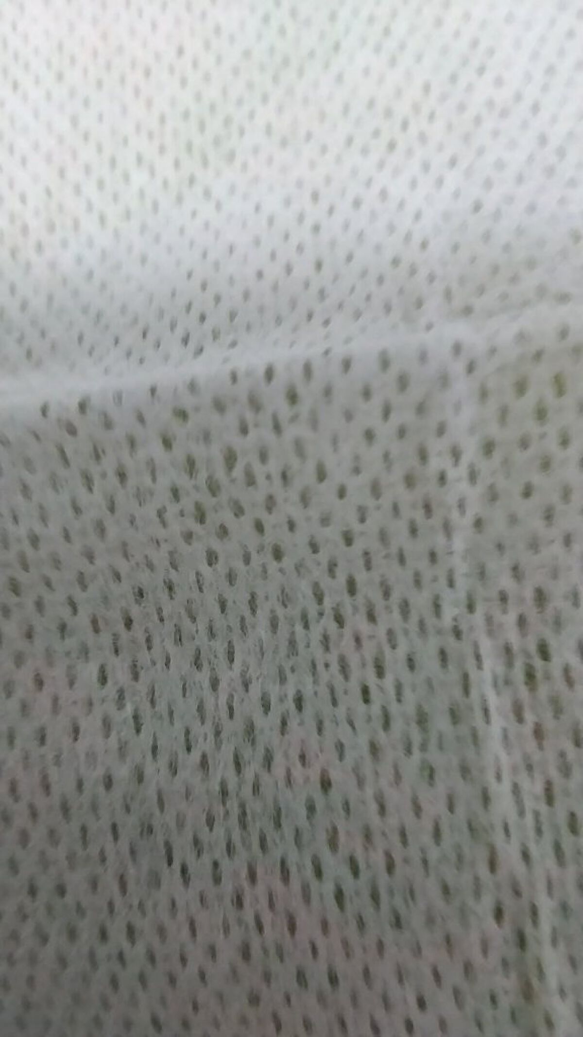 クリアシャワーシート （無香料）/エージーデオ24/ボディシートを使ったクチコミ（2枚目）