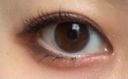 コンパクトアディクション リミテッド エディション 99+ 02 Deeply Bold/ADDICTION/アイシャドウパレットの画像