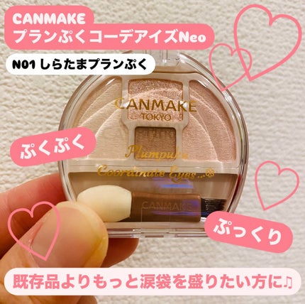 プランぷくコーデアイズNeo/キャンメイク/アイシャドウを使ったクチコミ(1枚目)