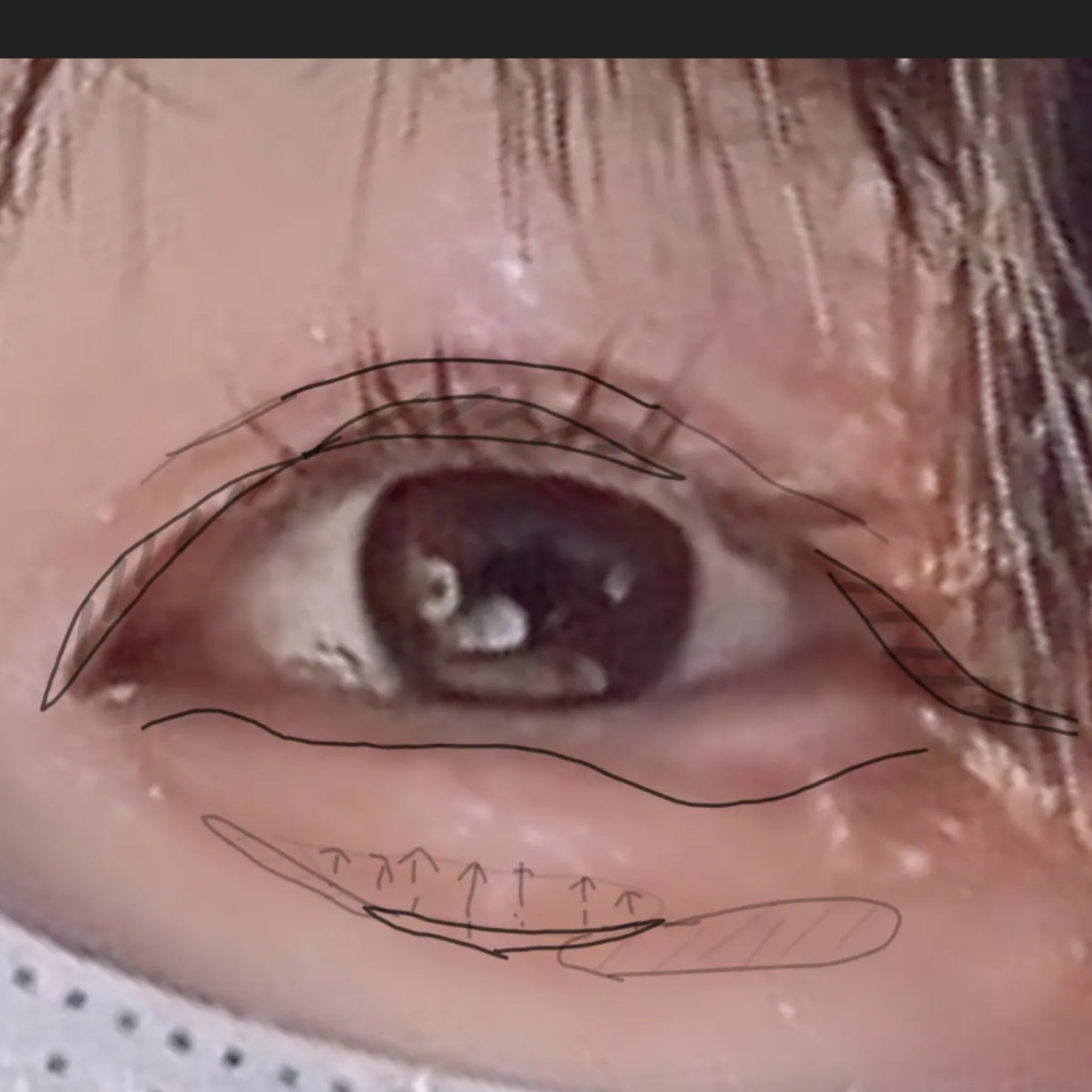 ラスティングマルチアイベース WP/キャンメイク/アイシャドウベースを使ったクチコミ（3枚目）