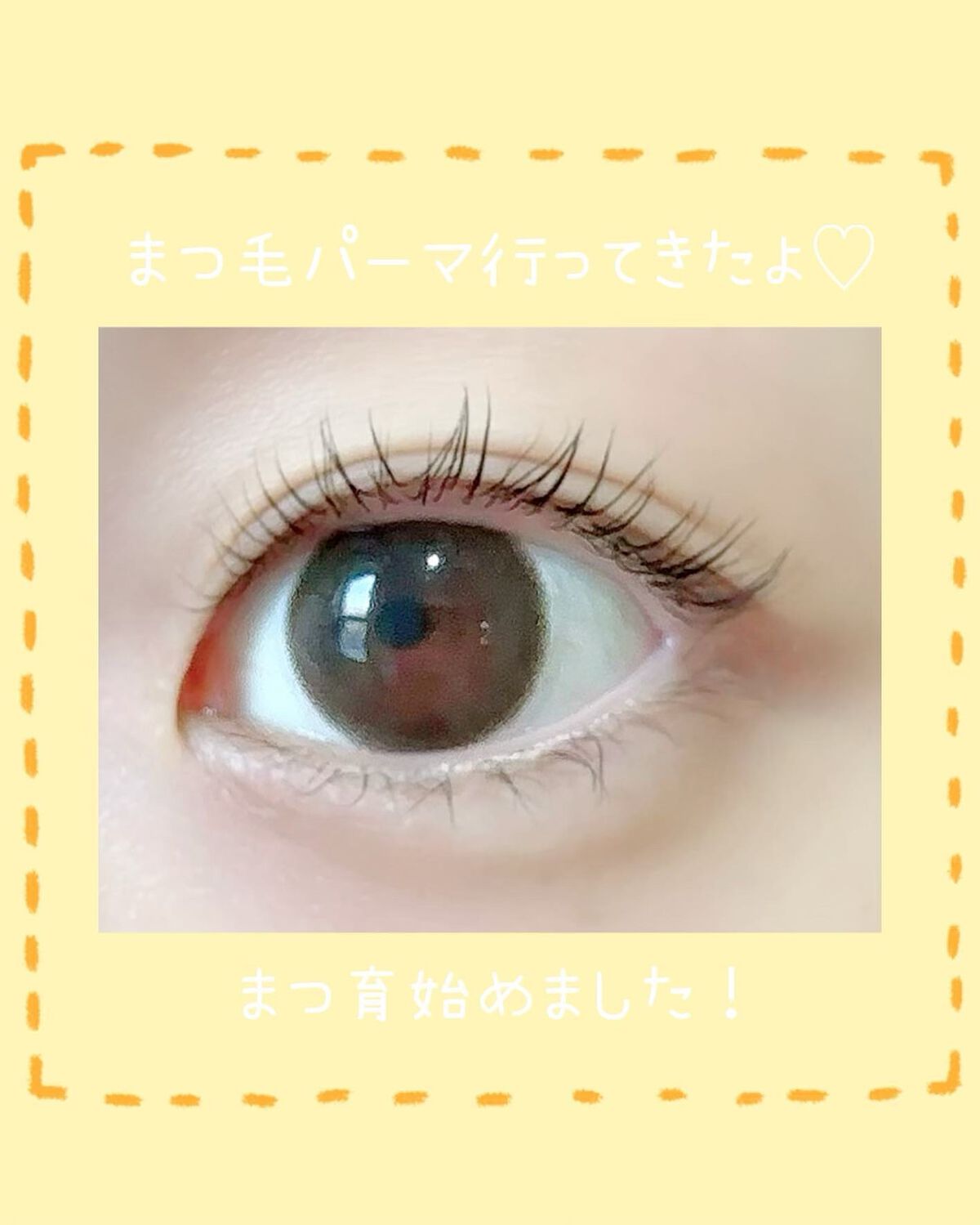 ラッシュジェリードロップ　ＥＸ/MAJOLICA MAJORCA/まつげ美容液を使ったクチコミ（1枚目）