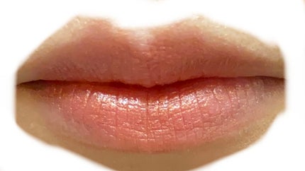 ジンジャーリップカラープライマー/SHIRO/リップクリームを使ったクチコミ(4枚目)