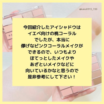 ソフトブラーリングアイパレット/wakemake/アイシャドウパレットを使ったクチコミ(7枚目)