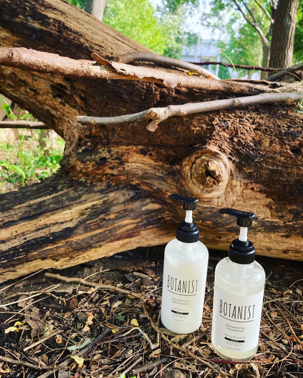 ボタニカルシャンプー/トリートメント(モイスト) /BOTANIST/シャンプー・コンディショナーを使ったクチコミ(1枚目)