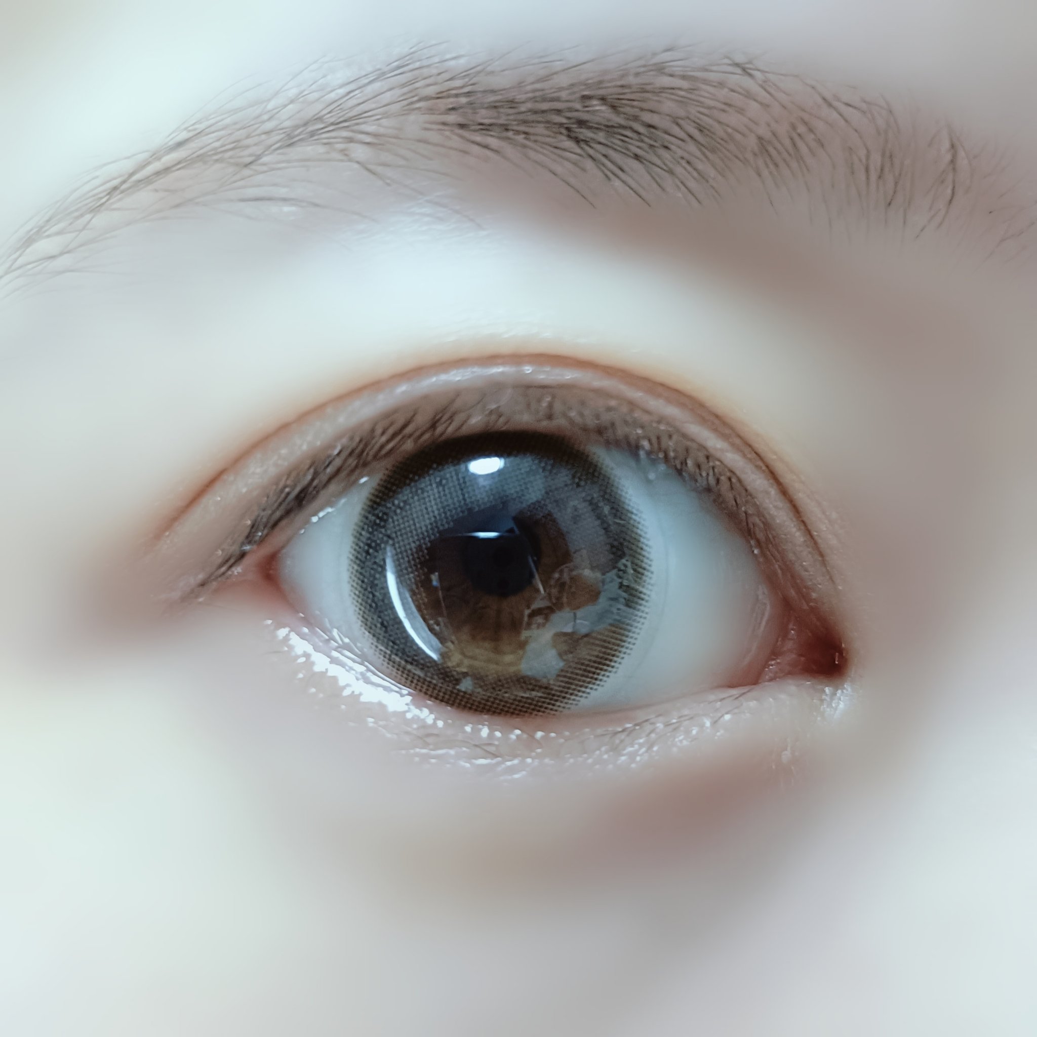 PUUUUCHU 1day /PUUUUCHU/ワンデー（１DAY）カラコンを使ったクチコミ（3枚目）