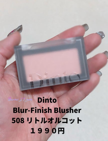 ブラーフィニシュブラッシャー/Dinto/パウダーチークを使ったクチコミ(2枚目)