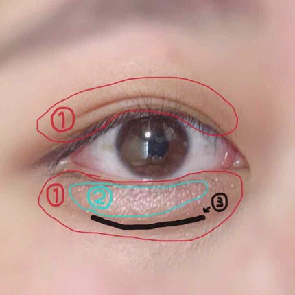 トーンアップアイシャドウ/CEZANNE/アイシャドウパレットを使ったクチコミ(2枚目)