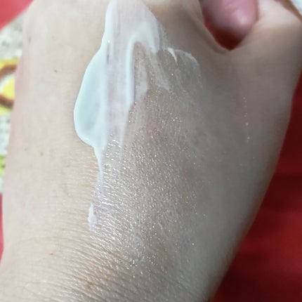 プロテクティング デイ クリーム/SUQQU/化粧下地を使ったクチコミ(4枚目)