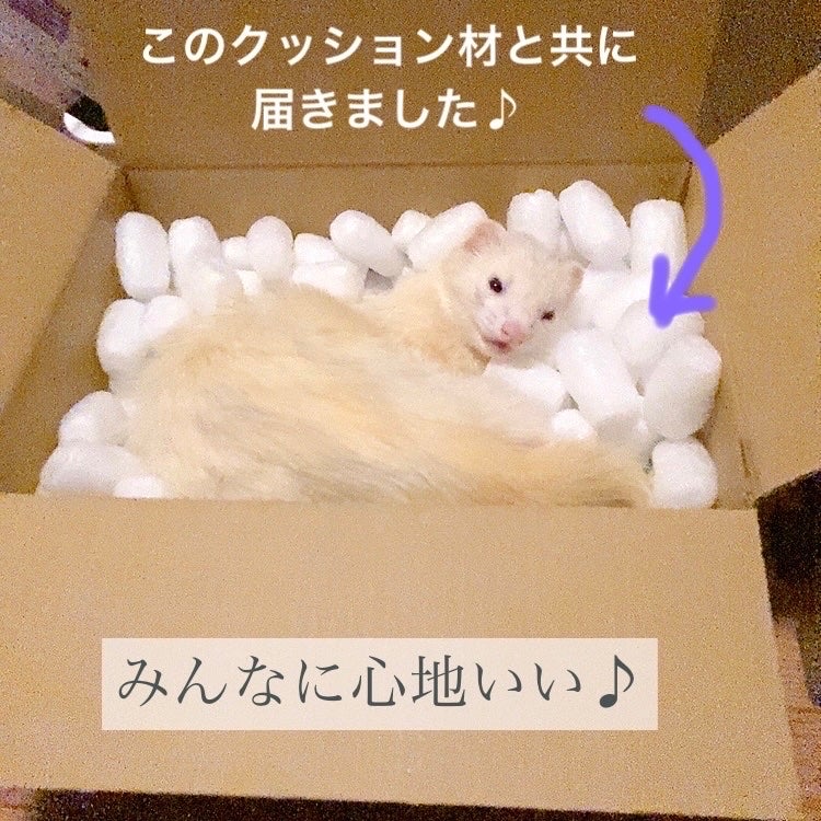 GEN FU KEI シャンプー/GEN FU KEI/市販シャンプーを使ったクチコミ(4枚目)