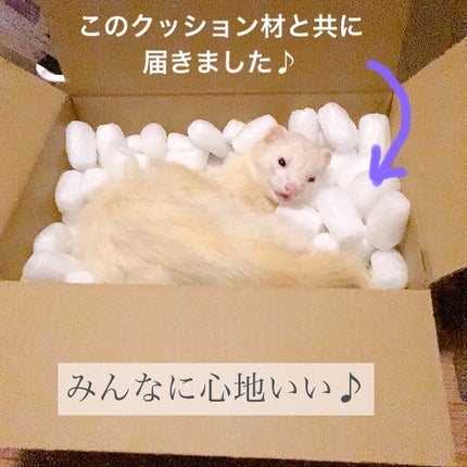 GEN FU KEI シャンプー/GEN FU KEI/市販シャンプーを使ったクチコミ(4枚目)