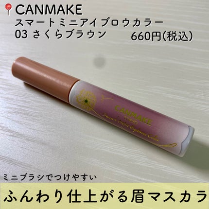 スマートミニアイブロウカラー/キャンメイク/眉マスカラを使ったクチコミ(2枚目)