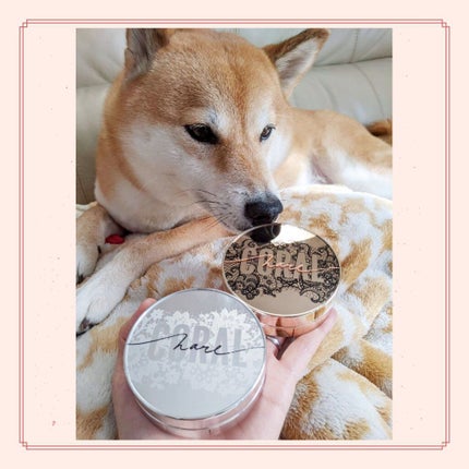 FGF7 ハイドロセルクッション/Coralhaze/クッションファンデーションを使ったクチコミ(6枚目)