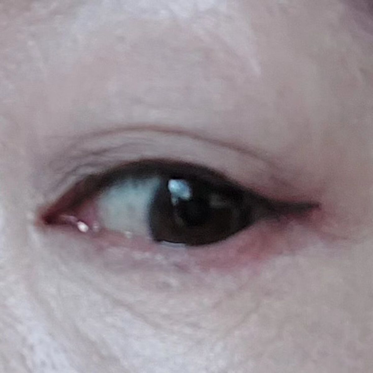 リキッドアイライナー/CAROME./リキッドアイライナーを使ったクチコミ（3枚目）