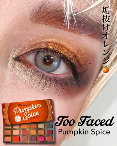 パンプキン スパイス アイシャドウ パレット(旧)/Too Faced/アイシャドウパレットを使ったクチコミ（1枚目）