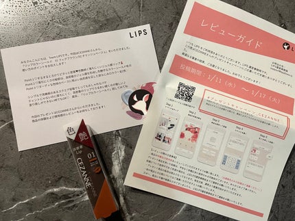 リップカラーシールド/CEZANNE/口紅を使ったクチコミ(2枚目)