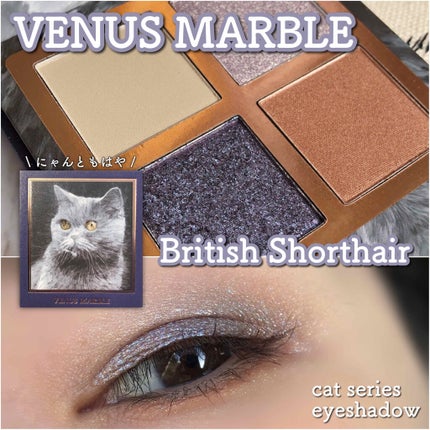 Venus Marble アイシャドウキャットシリーズ/Venus Marble/アイシャドウパレットを使ったクチコミ(1枚目)