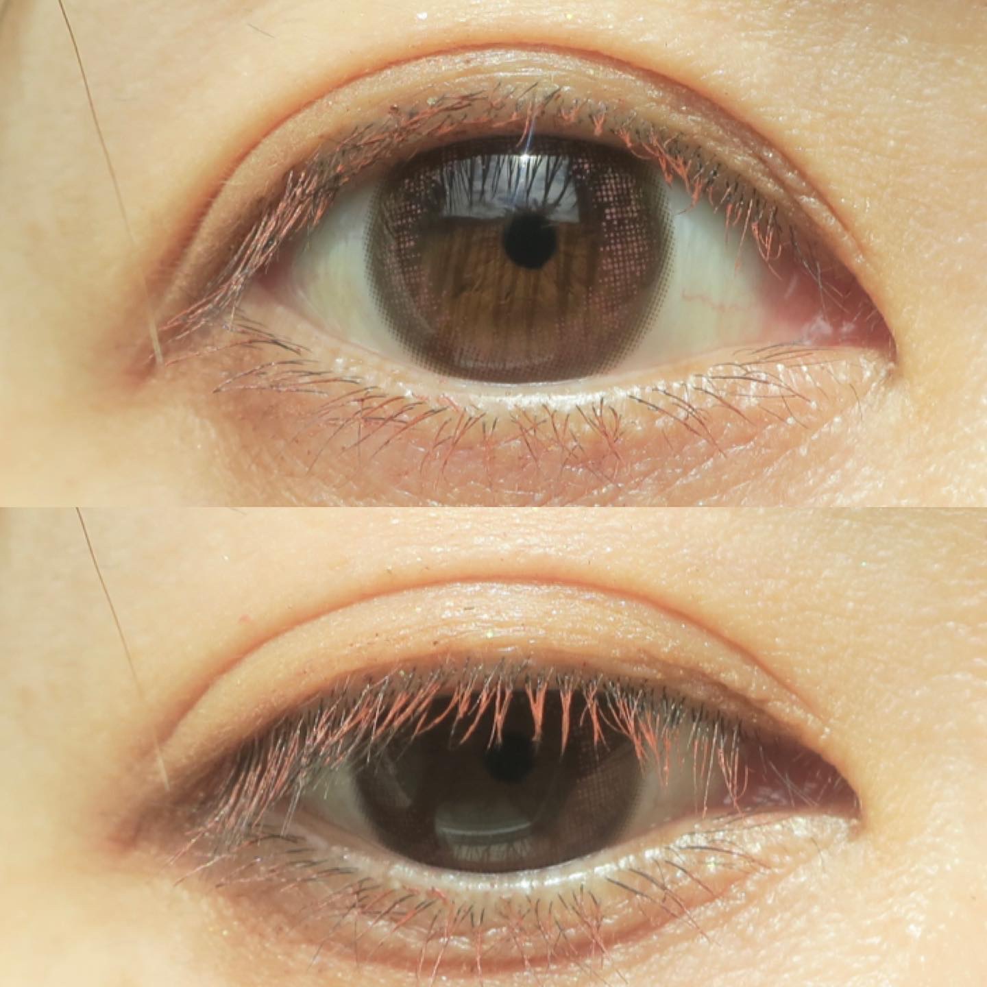 LuMia comfort 1day CIRCLE/LuMia/ワンデー（１DAY）カラコンを使ったクチコミ（3枚目）