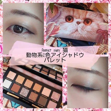 エクスプローラ12色 動物アイシャドウパレット/PERFECT DIARY/アイシャドウパレットを使ったクチコミ(1枚目)