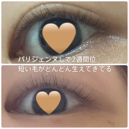Eyebrow&Eyelash Serum/NUNSSUP JARA/まつげ美容液を使ったクチコミ(6枚目)
