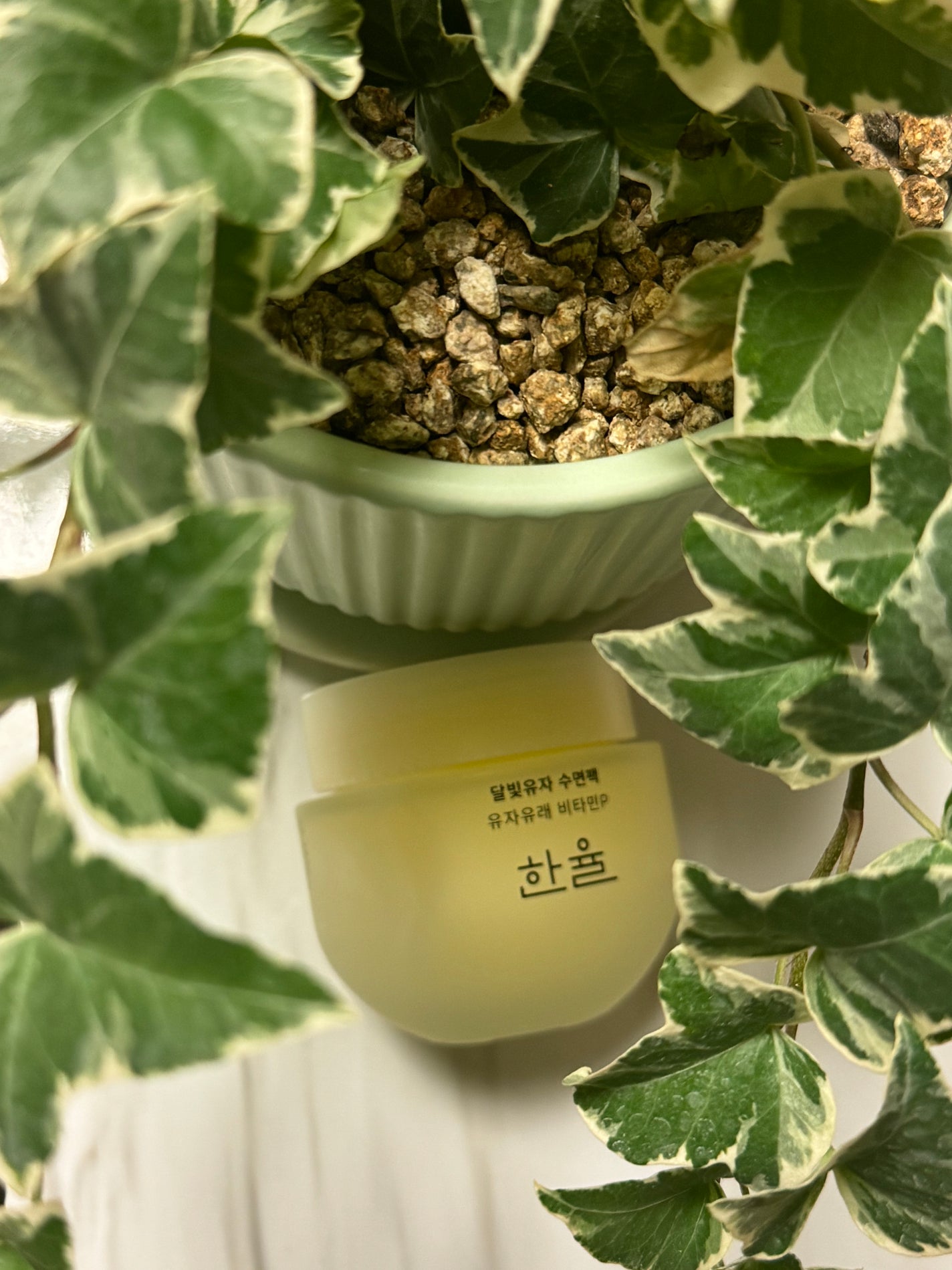 月光ゆず睡眠パック/HANYUL(ハンユル)/フェイスクリームを使ったクチコミ(1枚目)