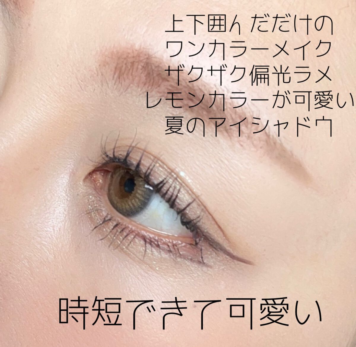 ラズル アイカラー/エレガンス ラズル /単色アイシャドウを使ったクチコミ(5枚目)