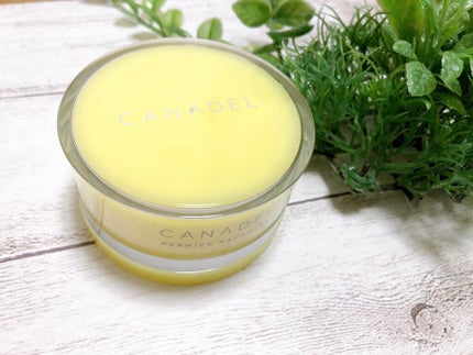 カナデル プレミアバランサー /CANADEL/オールインワン化粧品を使ったクチコミ(2枚目)