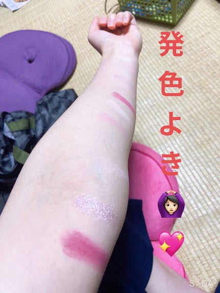 エクスプローラ12色 動物アイシャドウパレット/PERFECT DIARY/アイシャドウパレットを使ったクチコミ(3枚目)