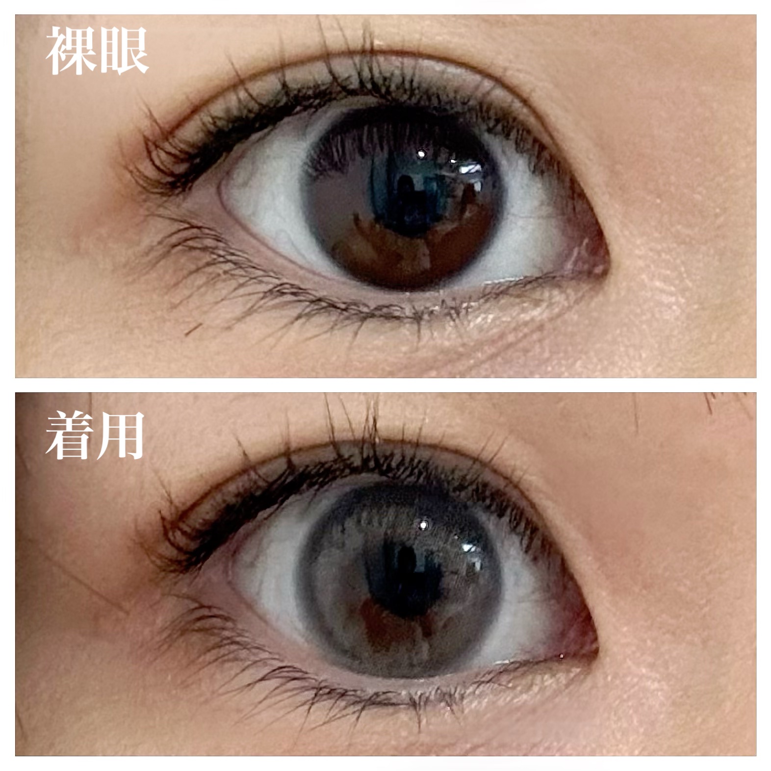 フェアリー ワンデー ニュートラルシリーズ/FAIRY/ワンデー（１DAY）カラコンを使ったクチコミ（2枚目）