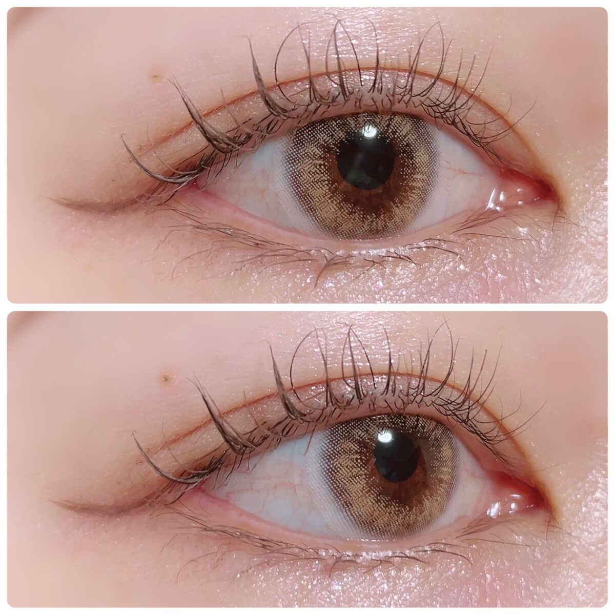 Jill Sanctuary/グラムレンズ/カラーコンタクトレンズを使ったクチコミ（3枚目）