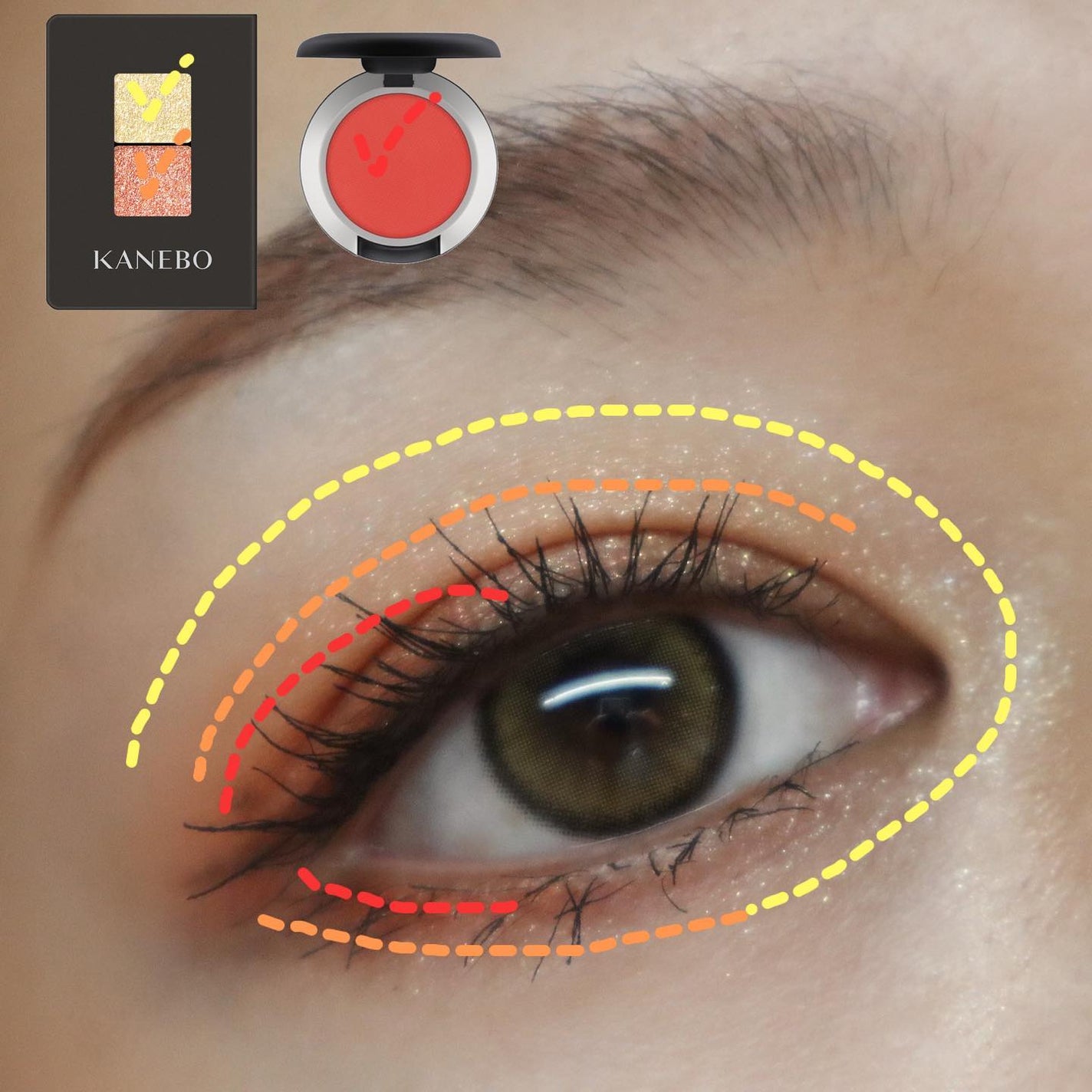 カネボウ アイカラーデュオ/KANEBO/アイシャドウパレットを使ったクチコミ(2枚目)