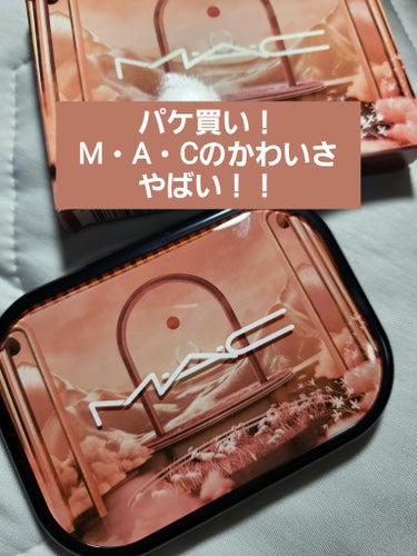 コネクト イン カラー アイシャドウ パレット × 6/M・A・C/アイシャドウパレットを使ったクチコミ（1枚目）