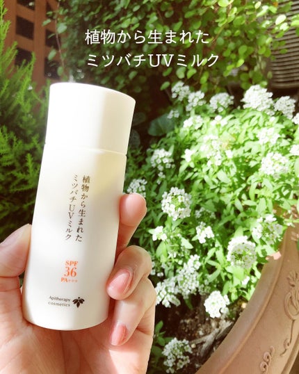 植物から生まれたミツバチUVミルク/アピセラピーコスメティクス/日焼け止めミルクを使ったクチコミ(1枚目)