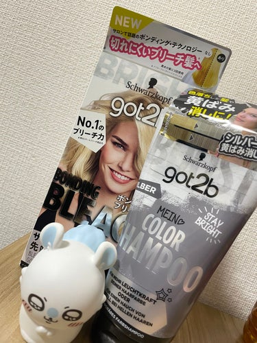 カラーシャンプー/got2b/シャンプー・コンディショナーを使ったクチコミ（1枚目）