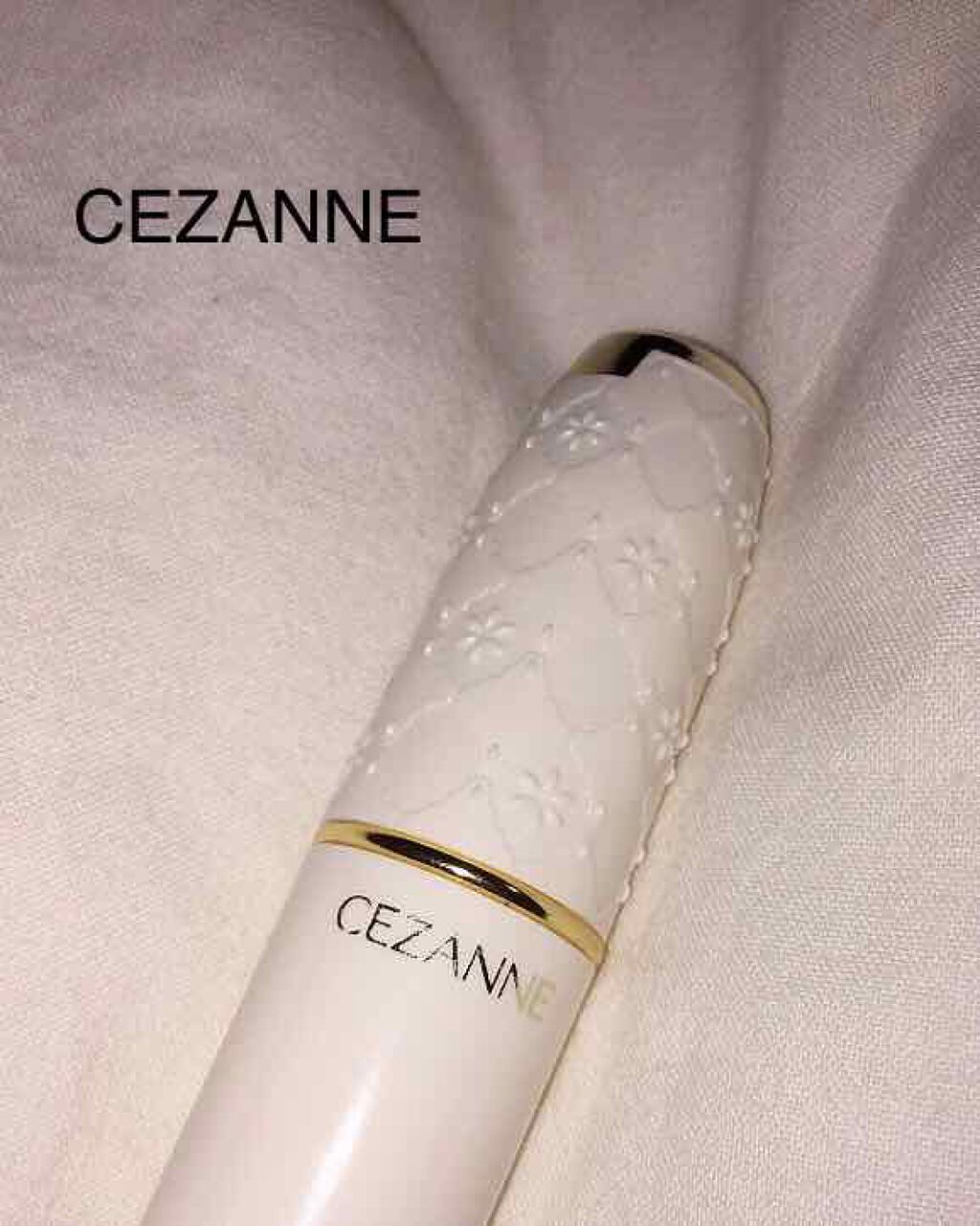 ラスティング リップカラーN/CEZANNE/口紅を使ったクチコミ（1枚目）