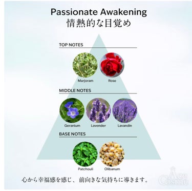 SINN PURETÉ トゥーグッド マルチベネフィットオイル / Passionate Awakening（情熱的な目覚め）のクチコミ「本日は皆様におすすめしたいヘアオイル紹介します👩‍💼

【使った商品】
SINN PURETÉ.....」（2枚目）