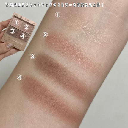 シルキースフレアイズ(マットタイプ)/キャンメイク/アイシャドウパレットを使ったクチコミ(3枚目)