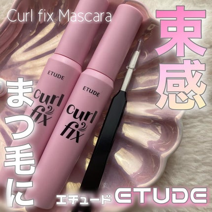 カールフィックスマスカラ/ETUDE/マスカラを使ったクチコミ(1枚目)