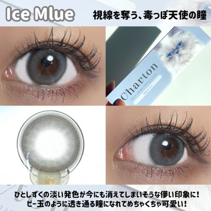 Charton 1day/Charton/ワンデー(1DAY)カラコンを使ったクチコミ(4枚目)