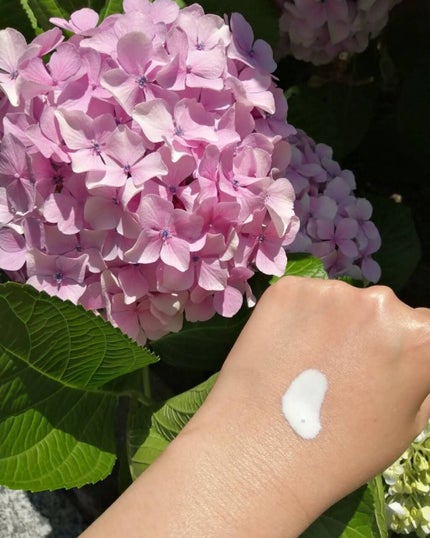 UVプロテクター/ミキモト コスメティックス/日焼け止めミルクを使ったクチコミ(2枚目)