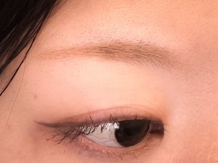 パーフェクトエクステンション マスカラ/D-UP/マスカラを使ったクチコミ(8枚目)