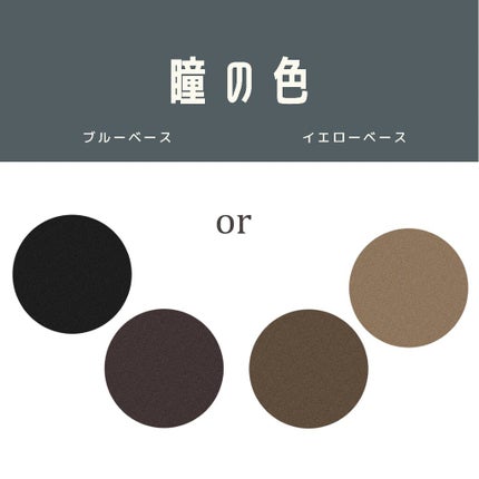 パーソナルカラー診断/Visée/その他を使ったクチコミ(4枚目)