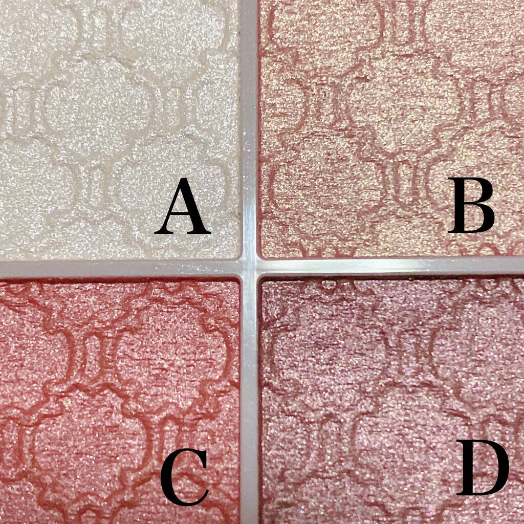 グロッシーリッチ アイズ N/Visée/アイシャドウパレットを使ったクチコミ(3枚目)