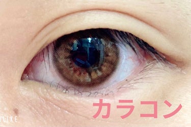 eye closet/EYE CLOSET/カラーコンタクトレンズを使ったクチコミ（3枚目）