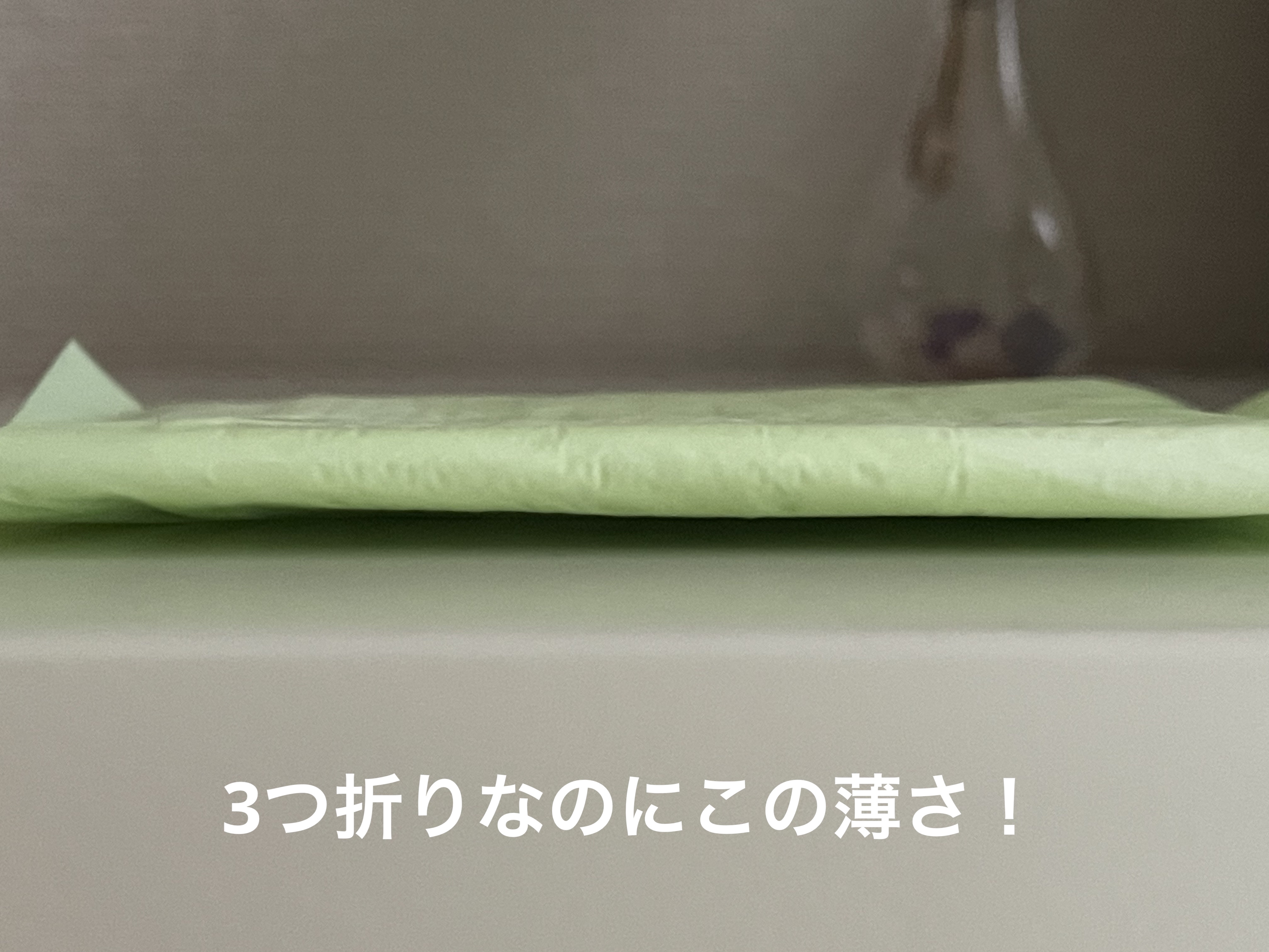 スリムガード（多い昼～ふつうの日用羽つき ２８コ入）/ロリエ/ナプキンを使ったクチコミ（2枚目）