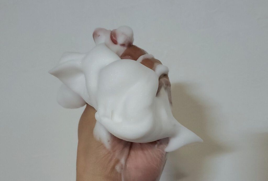 パーフェクトホイップu/SENKA(専科)/洗顔フォームを使ったクチコミ(3枚目)