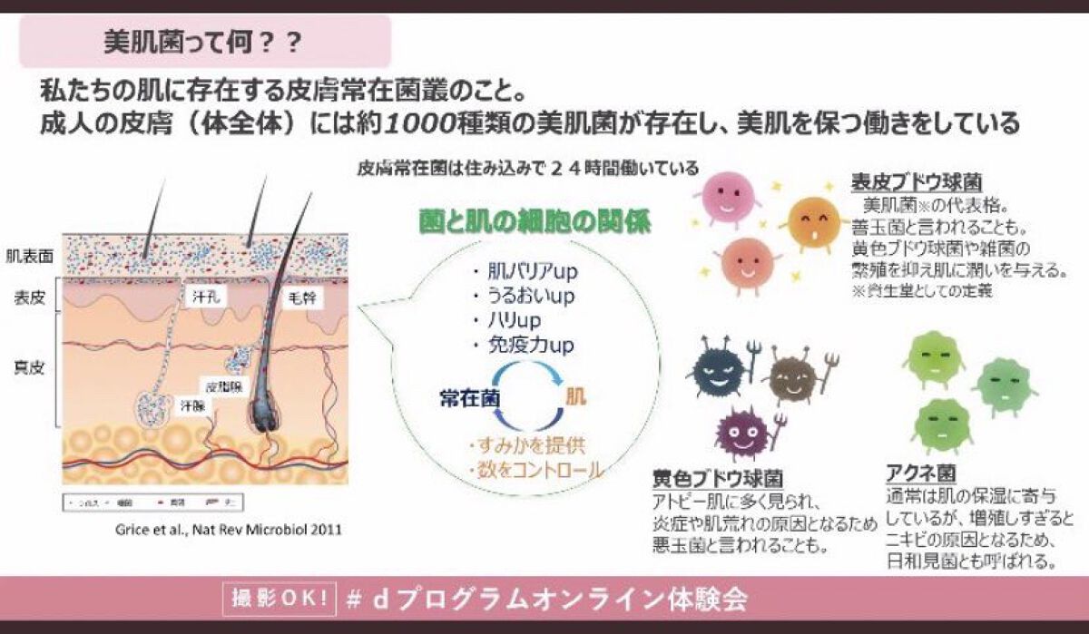 バイタライジングクリーム /d プログラム/フェイスクリームを使ったクチコミ（3枚目）