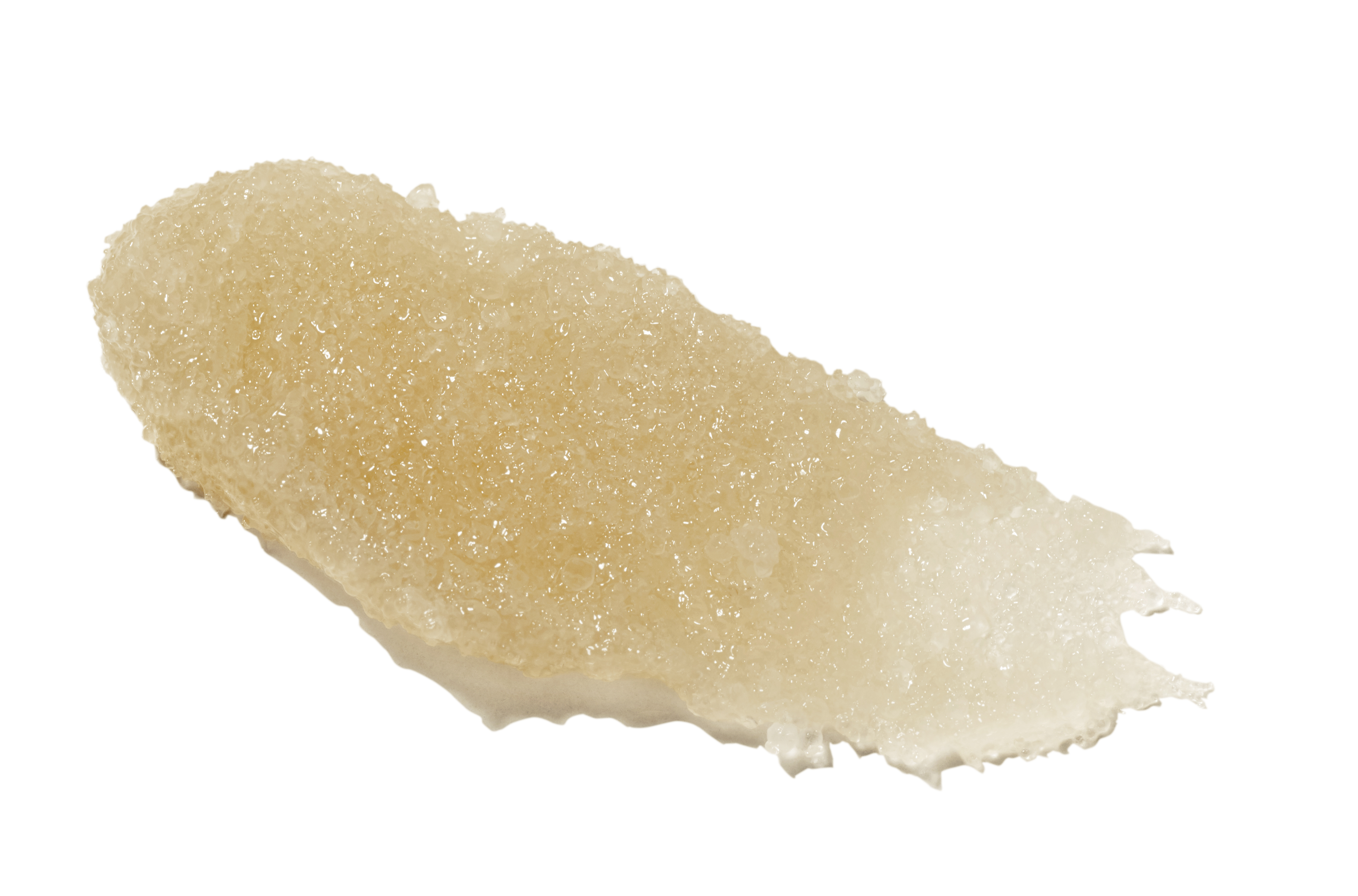 ヘッドスクラブ トライアル