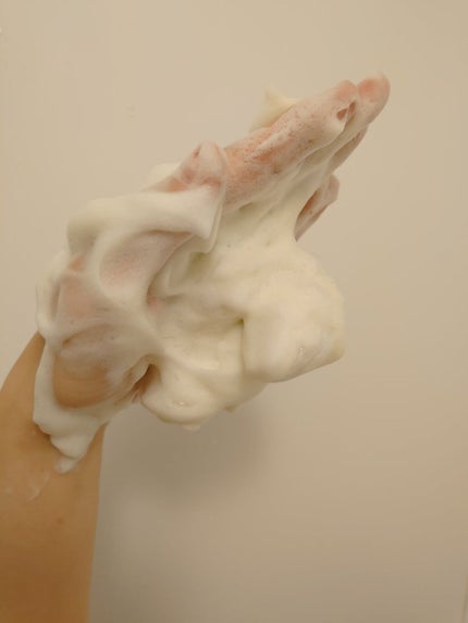 ワフードメイド 宇治抹茶酵素洗顔/pdc/洗顔パウダーを使ったクチコミ(3枚目)