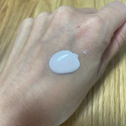 デイセラム/アネッサ/化粧下地を使ったクチコミ(2枚目)